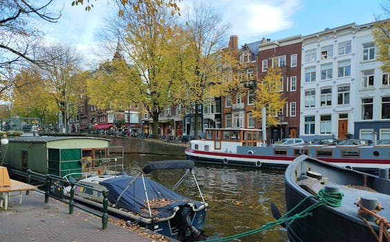 When Your Tooth Whispers Trouble: Decoding Root Canal Symptoms