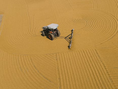 Beyond the Hype: Deconstructing the True Impact of Precision Agriculture Technologies