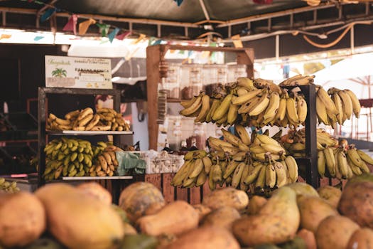 Cracking the Code: Smart Vendor Management System Selection Tips for Real-World Impact