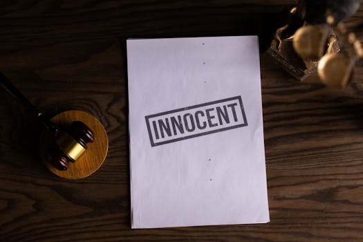 Beyond the Courtroom: Deconstructing the Impact of an Equal Rights Lawyer